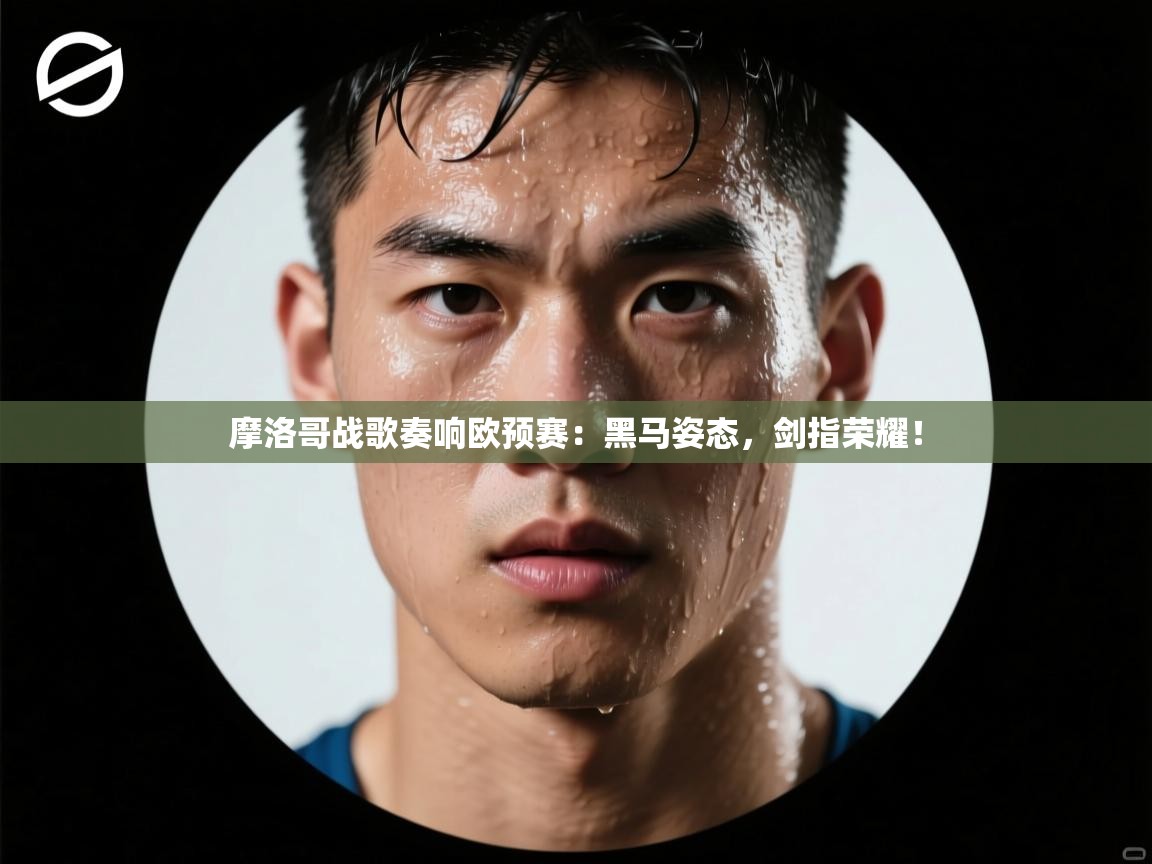 摩洛哥战歌奏响欧预赛：黑马姿态，剑指荣耀！  第2张